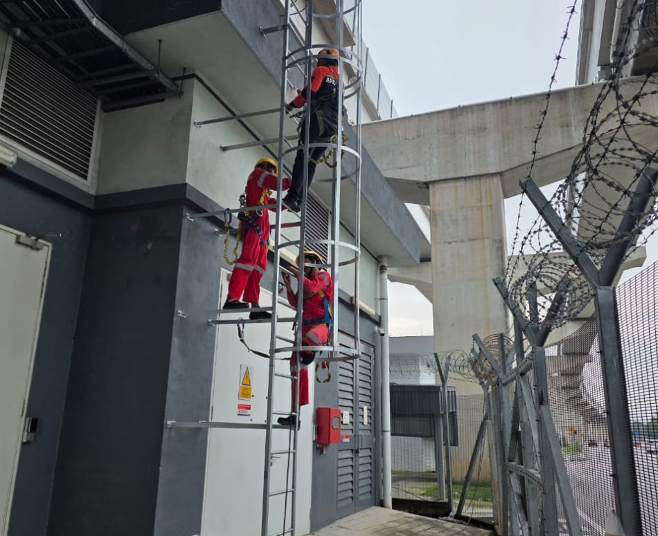 WhatsApp Image 2026-01-20 at 2.46.09 PM